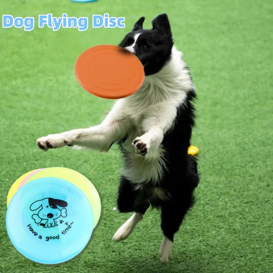 Durable Flying Disc Dog Toy for Interactive Play